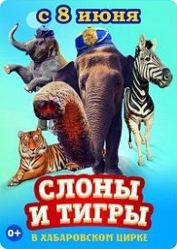 Итальянский цирк с программой "Слоны и тигры" в Хабаровске с 8 июня 2019 года