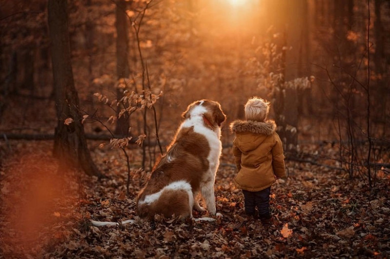 Собачки и дети: почему взаимодействие между ними так важно для развития и социализации фото 2
