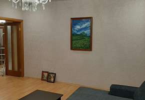 Сдается 1-комнатная квартира в Хабаровске фото 3