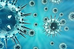 В Хабаровске резко возросло число заболевших энтеровирусной инфекцией и серозно-вирусным менингитом
