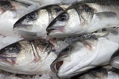 Первую партию "доступной рыбы" выложат на прилавки в Хабаровске в ближайшие выходные