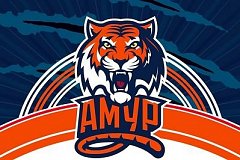 Хоккейный клуб «Амур» начинает выдачу абонементов на сезон 2018/19
