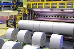 Реализация проекта Амурского целлюлозно-бумажного комбината может начаться в 2019 году