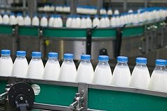 В Хабаровске собираются построить один из крупнейших на Дальнем Востоке молокозавод