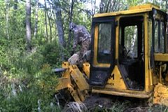 Черных лесорубов задержали в заповеднике Хабаровского края