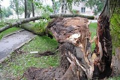 В Хабаровском крае ликвидируют последствий циклона