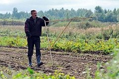 Многодетным семьям в Хабаровском районе раздали бесплатно землю