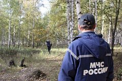 Труп пропавшего мужчины в Хабаровском крае нашли со следами насильственной смерти
