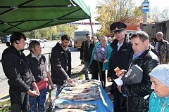 В Хабаровске изъяли из незаконной торговли рыбу и икру сомнительного качества