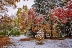 В выходные дни на территории Хабаровского края ожидается ухудшение погодных условий