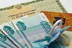 Более 800 млн рублей запланированы на выплаты за первенцев в следующем году