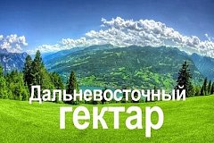 Соотечественники за рубежом смогут получить «дальневосточный гектар»