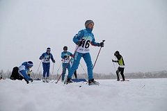 Всероссийский «День снега» отметят в Хабаровском крае
