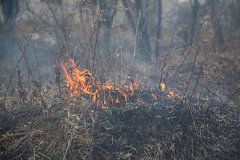 В Хабаровском крае начались возгорания сухой травы