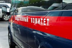 В Хабаровске возбуждено уголовное дело по факту нанесения побоев девочке-подростку полицейским