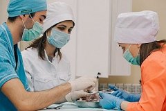 В 2019 году по программе «Земский доктор» в Хабаровском крае привлекут более 40 врачей