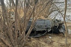 Водитель погиб в улетевшей с моста иномарке в Хабаровском крае (фото)