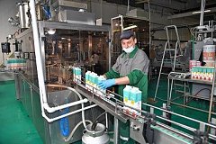 Мощности «Вяземского молочного комбината» загружены только на 50%