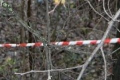 В Хабаровске нашли труп женщины в овраге