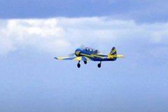 Президент федерации авиационного спорта ДВ погиб при крушении Як-18 под Хабаровском