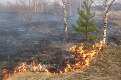 В восьми районах края и Хабаровске действует особый противопожарный режим