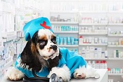 Ветеринарная аптека в Хабаровске работала без лицензии