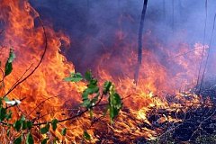 За прошедшие сутки в Хабаровском крае ликвидировано 125 пожаров
