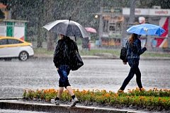 Дожди и грозы прогнозируют в Хабаровском крае