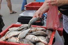 За торговлю рыбой в неустановленных местах будут наказывать