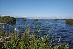Уровни воды на реках Хабаровского края по состоянию на 23 августа 2019 года