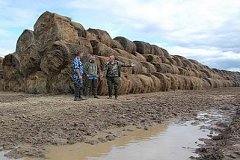 Колоссальные убытки терпит сельхозпредприятие «Колос» из-за паводка в Хабаровском районе