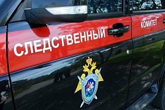 В Хабаровском крае уголовник убил приютившего его приятеля