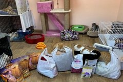 Молодёжный совет Почты России в Хабаровске оказал помощь центру по защите бездомных животных