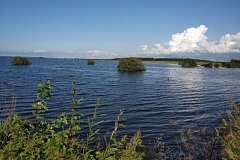 В трех районах Хабаровского края отменили режим ЧС, связанный с паводком