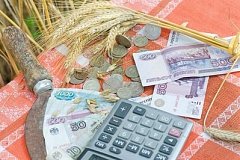 205 млн рублей на компенсации выделили пострадавшим от паводка аграриям Хабаровского края