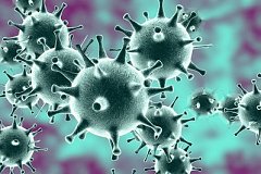Как не заразиться китайским коронавирусом разъяснили в хабаровской мэрии