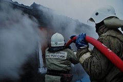 На Камчатке пожарные тушили свинокомплекс