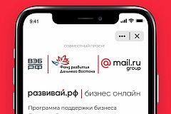 Предпринимателям Хабаровского края предлагают перевести свой бизнес в онлайн