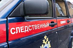 Депутат Хабаровской городской думы от ЛДПР арестован за избиение пенсионера