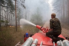 Четыре лесных пожара зафиксированы в Хабаровском крае