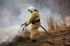 В Хабаровском крае тушат два природных пожара