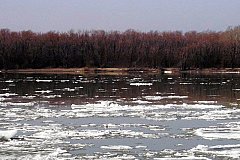 На реках Хабаровского края начинается ледообразование