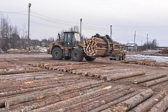 В Хабаровском крае прекратят экспорт необработанного леса