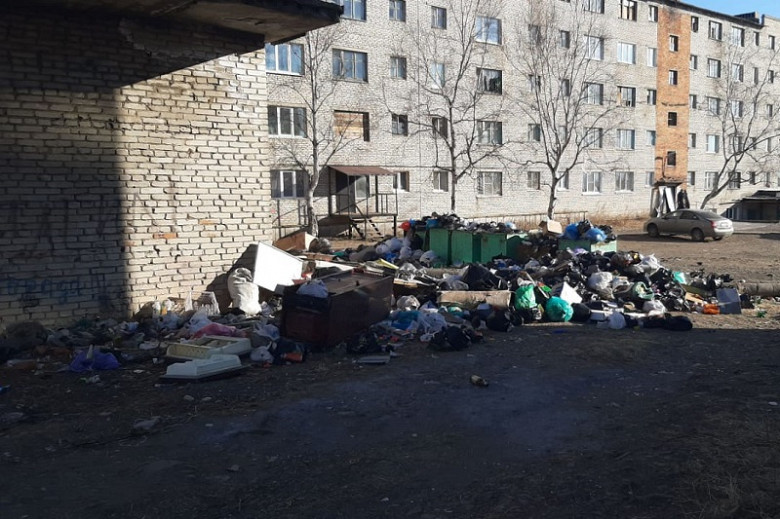 В поселке Хабаровского края растут горы мусора фото 4