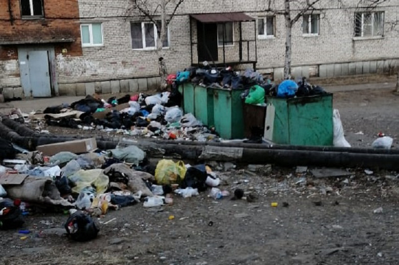 В поселке Хабаровского края растут горы мусора фото 2