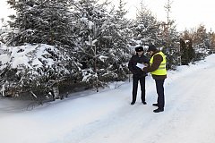 Более 40 незаконных рубок леса было выявлено в Хабаровском крае с начала зимы