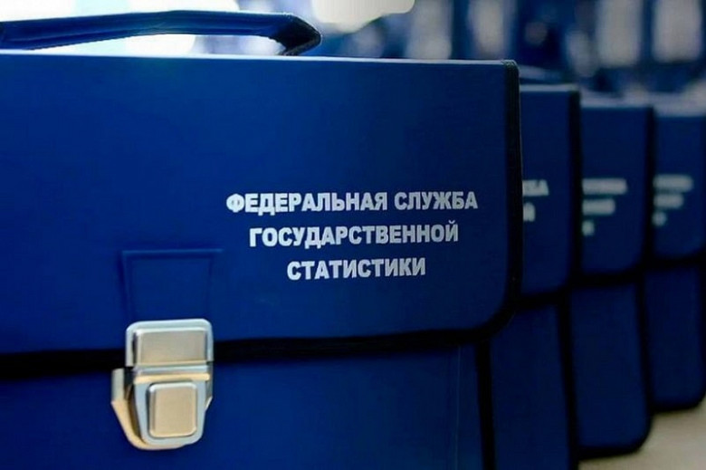 Хабаровские предприниматели подали более 500 анкет-отчетов на бизнес-переписи фото 2