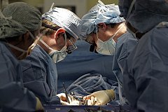 В Хабаровске планируют возродить операции по трансплантации почки