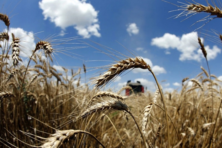 России нужны правила экспорта зерна, чтобы контролировать рост цен на продукты питания - Путин фото 2