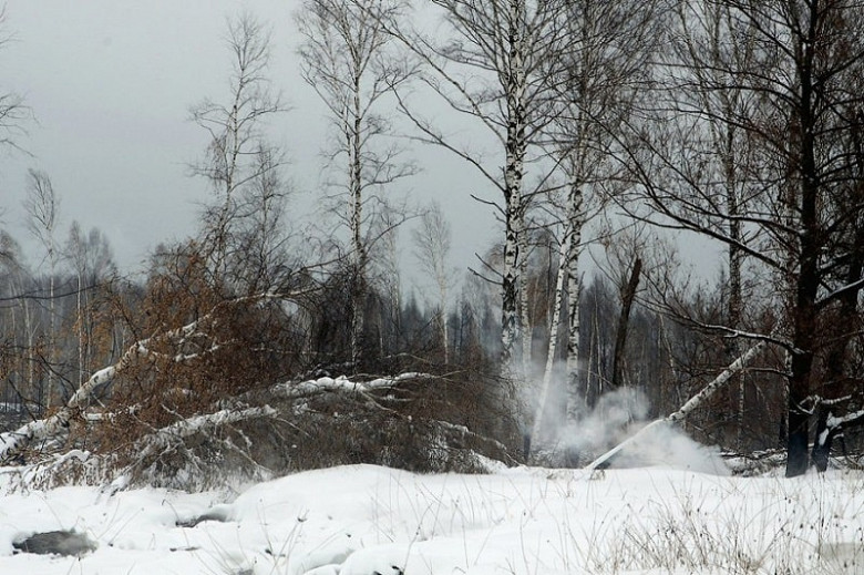 Первый лесной пожар зарегистрирован в Хабаровском районе фото 2